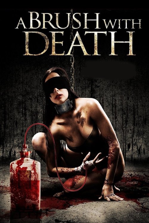 A Brush With Death Movie Poster Image