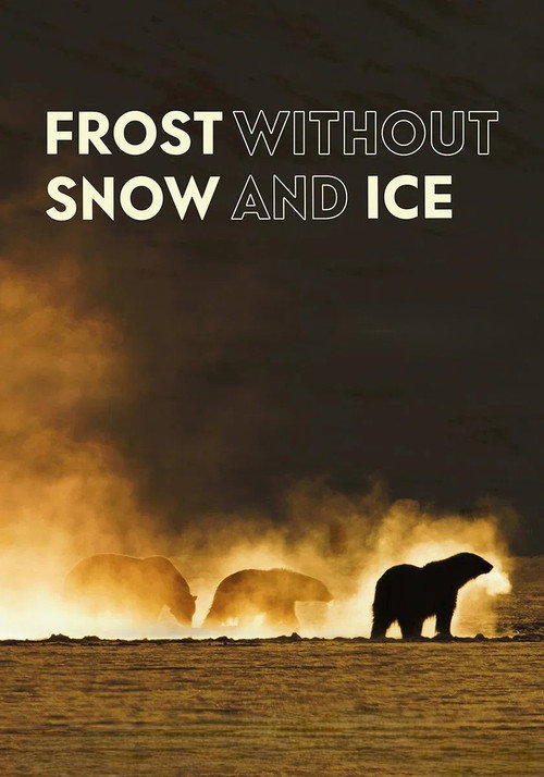 Frost Without Snow and Ice poster
