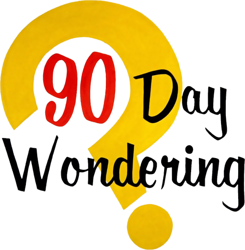 90 Day Wondering