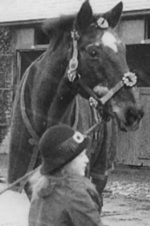 Horses' New Year's Dinner (1916)