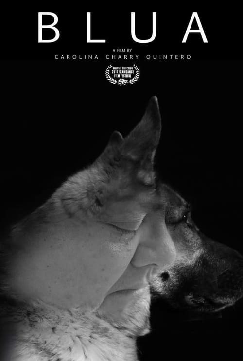 Blua movie poster player