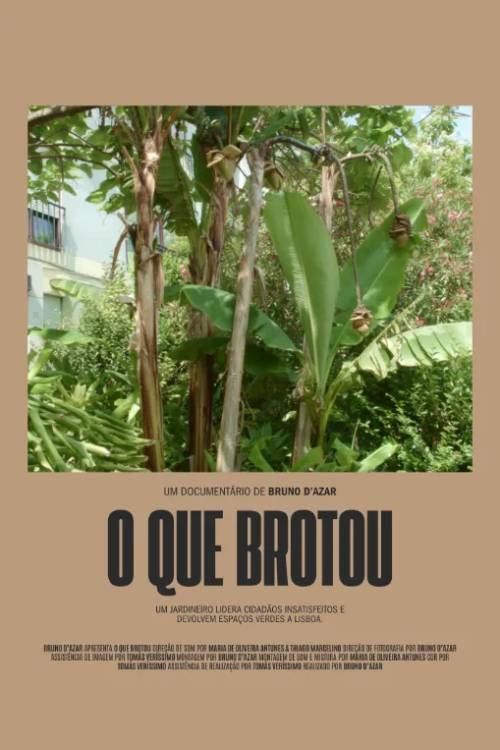 O Que Brotou