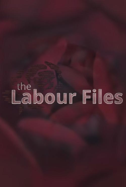 Poster The Labour Files