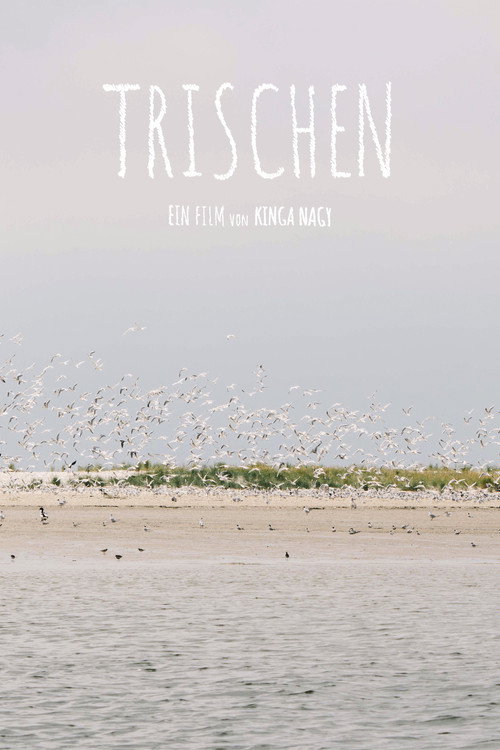 Trischen