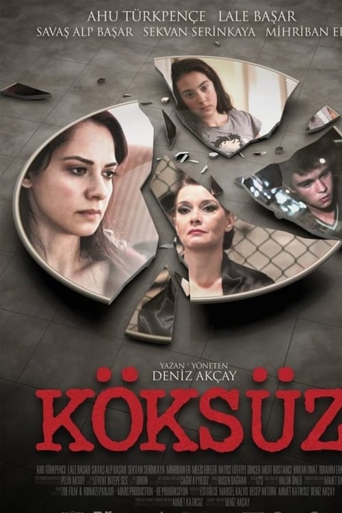 Köksüz 2013