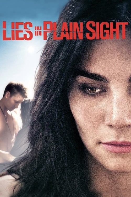 Poster do filme Lies in Plain Sight