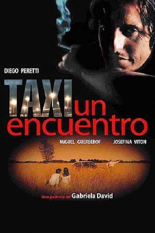 Taxi, un encuentro movie poster player