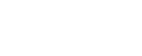 Mosquito
