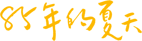 85年盛夏