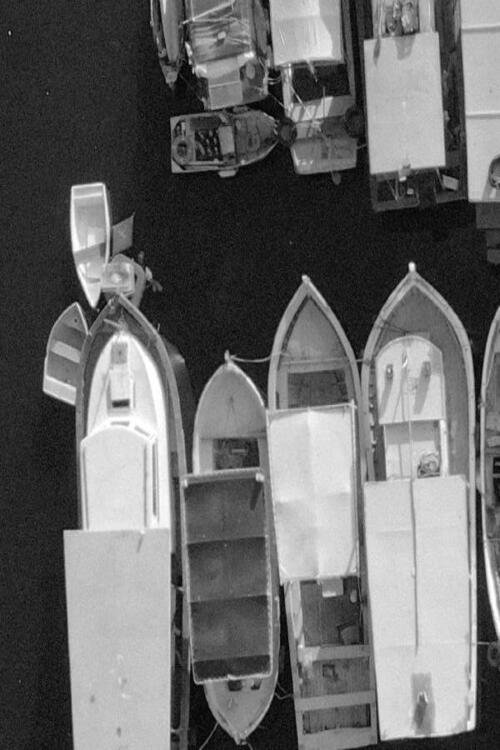 Felicidade movie poster