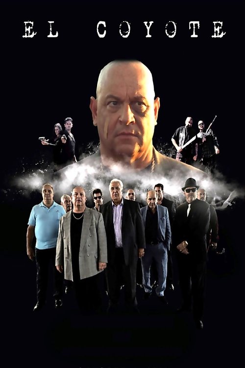 Poster 5