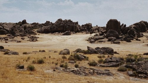 Backdrops