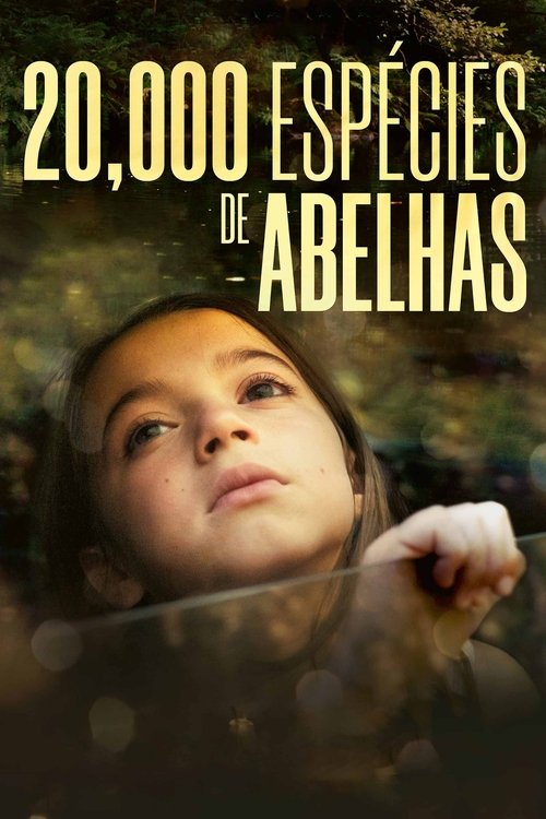 20,000 Espécies de Abelhas