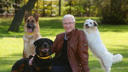 For the Love of Dogs