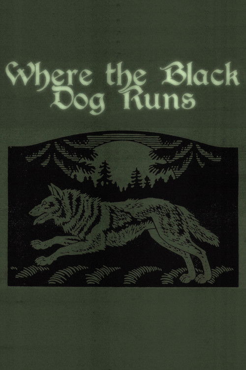 Where the Black Dog Runs