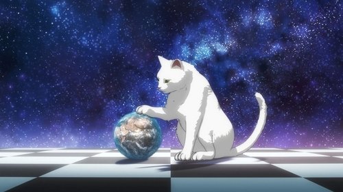 Nyaight of the Living Cat: 1×5