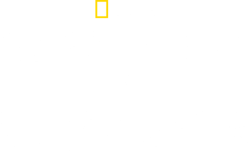 Mandíbulas à Espreita
