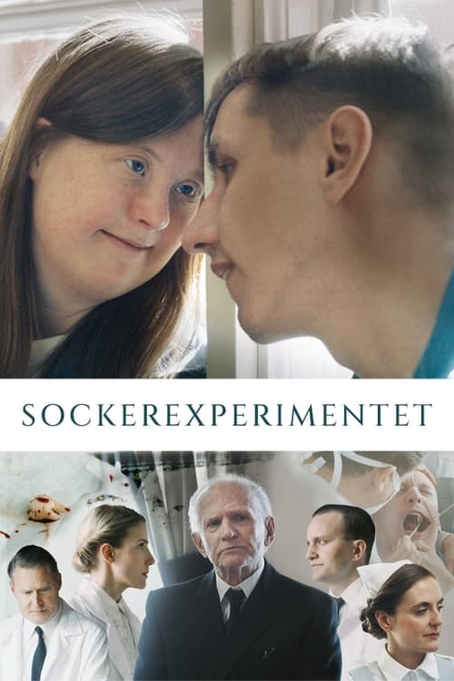 Sockerexperimentet (2023)