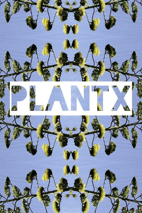 Plant X 2021