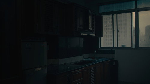 The House That Stays