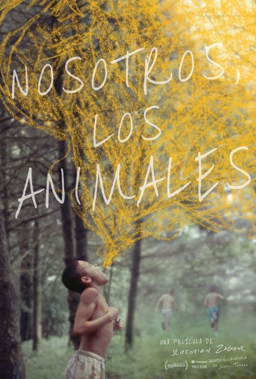 We the Animals poster