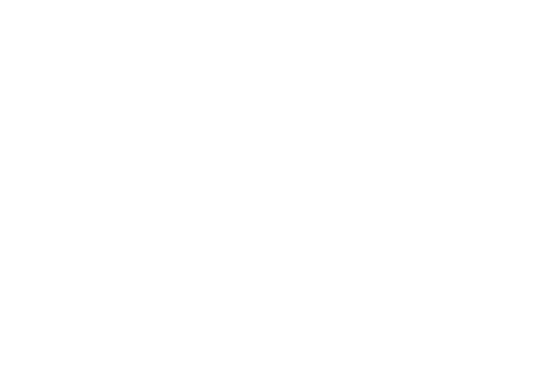 Never Give Up