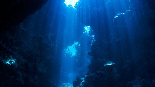 Operation Deep Sea Backdrop Blur