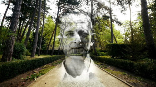 Weltkarriere einer Lüge