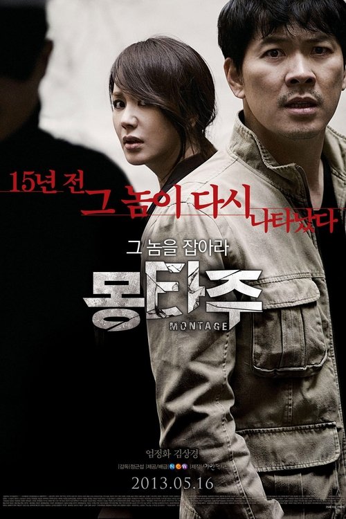 몽타주 (2013)