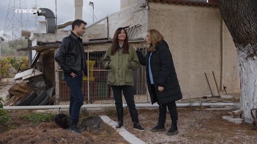 Épisode 80