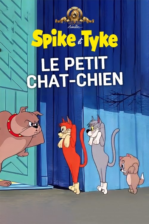 Le Petit Chat-chien