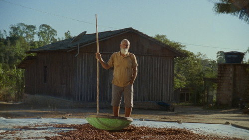 Now We Live in Paradise