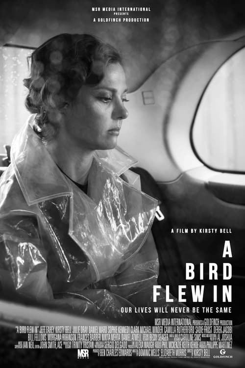 A Bird Flew In Movie Poster Image