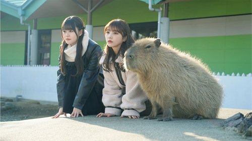 Image de l'épisode 1