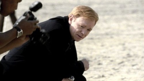 Poster della serie CSI: Miami