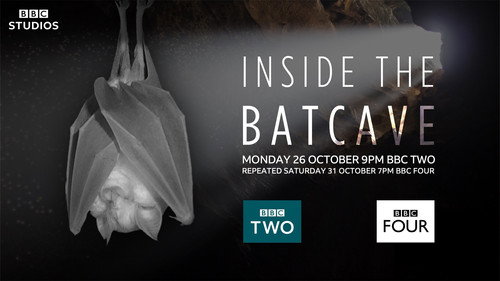 Inside the Bat Cave — Backdrops 1