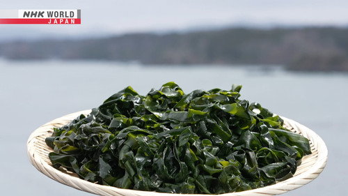 Wakame