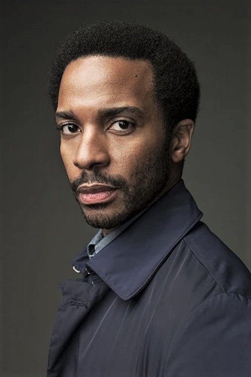 Grootschalige poster van André Holland