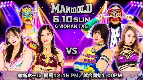 Marigold Shining Attack 2026 ~ Day 6