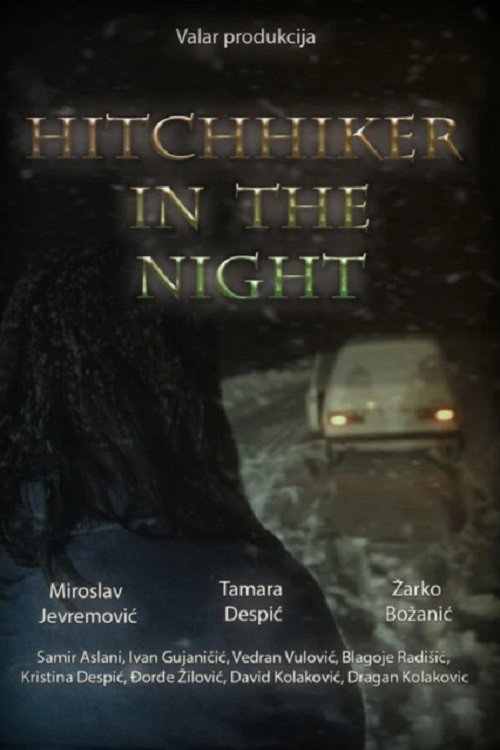 Hitchhiker in the night