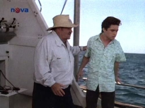 Image de l'épisode 20