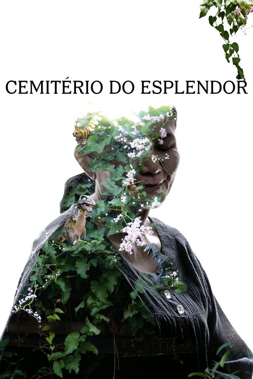 Pôster de Cemitério do Esplendor