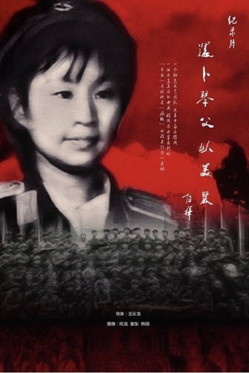 还卜琴父以美丽