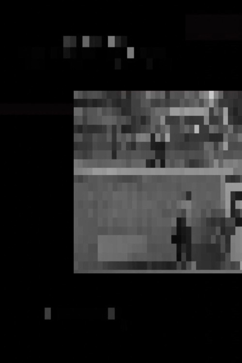 So I Put My Camera Down