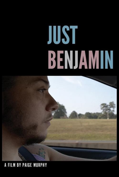 Download Just Benjamin Subtitle