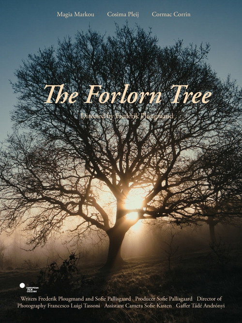 The Forlorn Tree poster