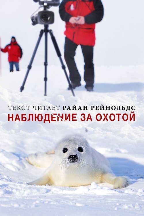 Huntwatch movie poster player