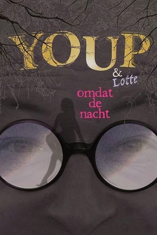 Youp van 't Hek: Omdat De Nacht Movie Poster Image