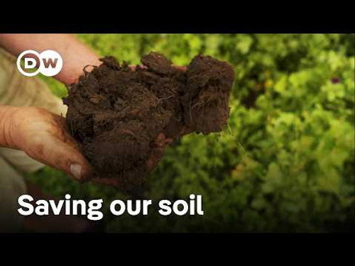 How farmers are protecting the soil and our food security