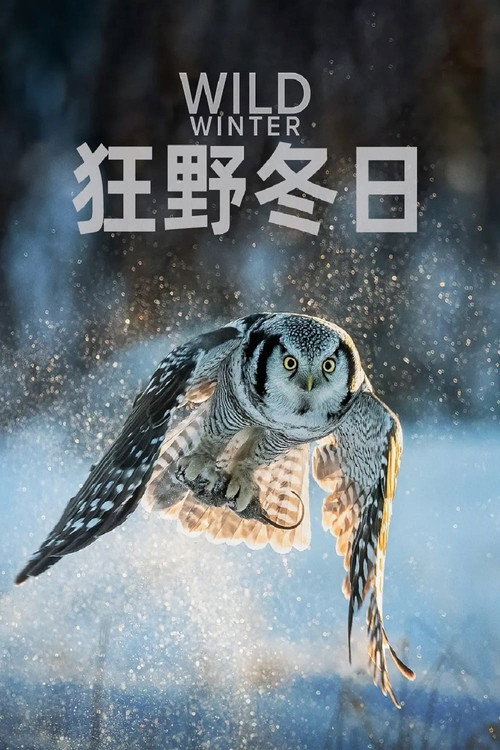 狂野冬日 - Season 1 Poster Blur
